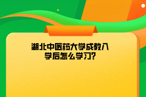 湖北中医药大学成教入学后怎么学习?