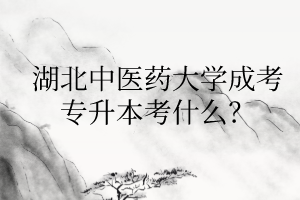 湖北中医药大学成考专升本考什么?