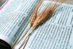 湖北中医药大学成教本科考试时间