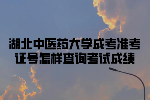 湖北中医药大学成考准考证号怎样查询考试成绩